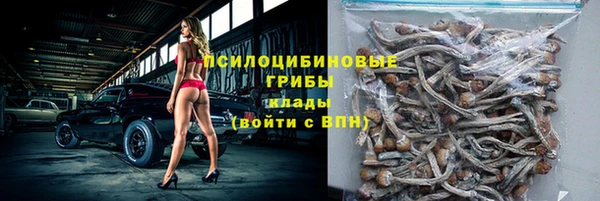 a pvp Мегион