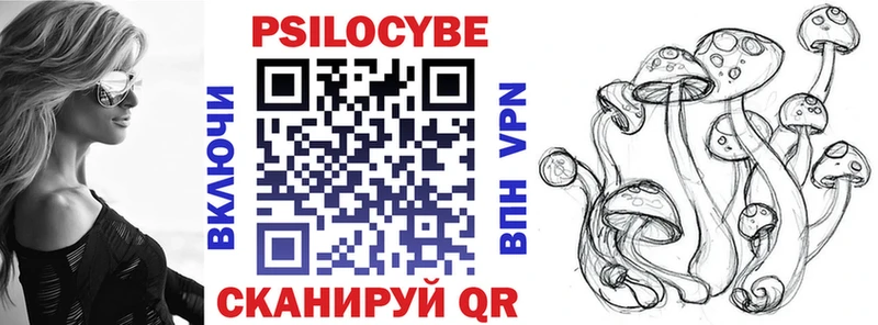 Псилоцибиновые грибы Psilocybe  Павловская 